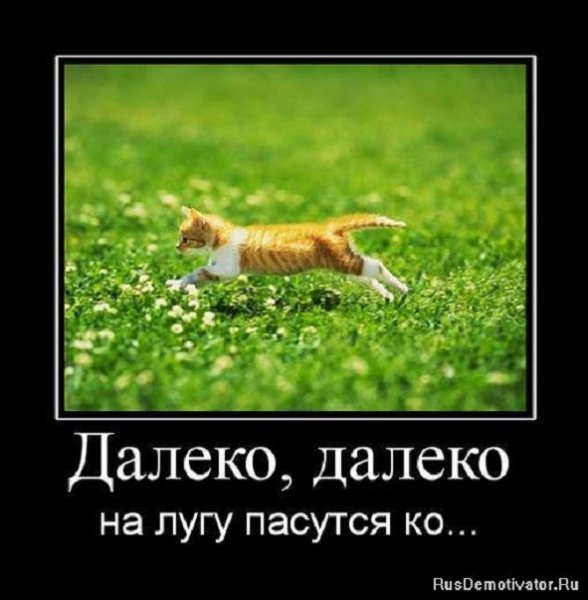 Далеко, далеко на лугу пасутся ко