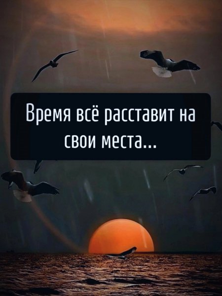 FqRMaqJz6Tk