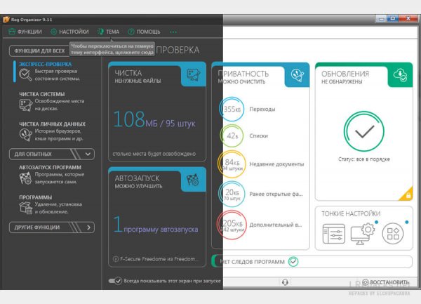 Reg Organizer 9. 94 (Repack & Portable)