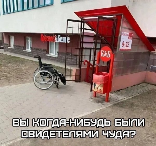 file_103629986