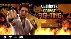 Ultimate Combat FightingВерсия: 1. 11