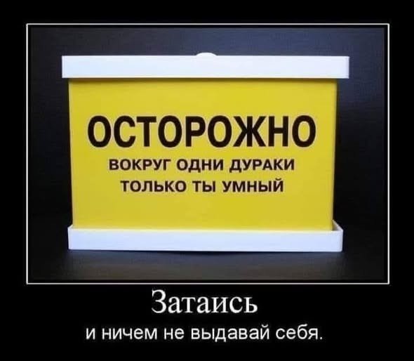 file_103315839