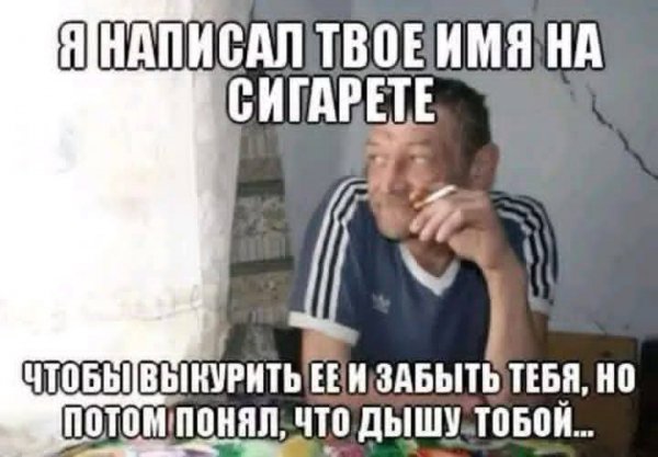 file_103310867