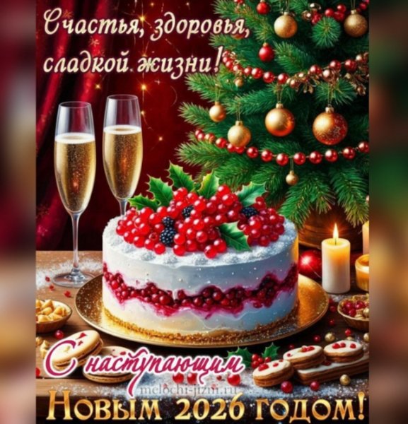IMG 20260108 014510