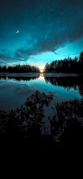 file_91980320