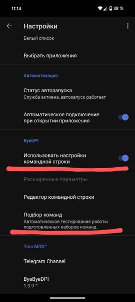 ByeByeDPI v. 1. 3. 9 TM