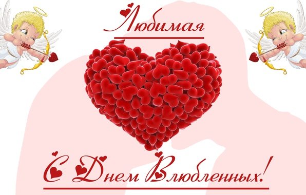 file_81206210
