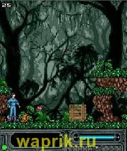 Caitlyns Quest
