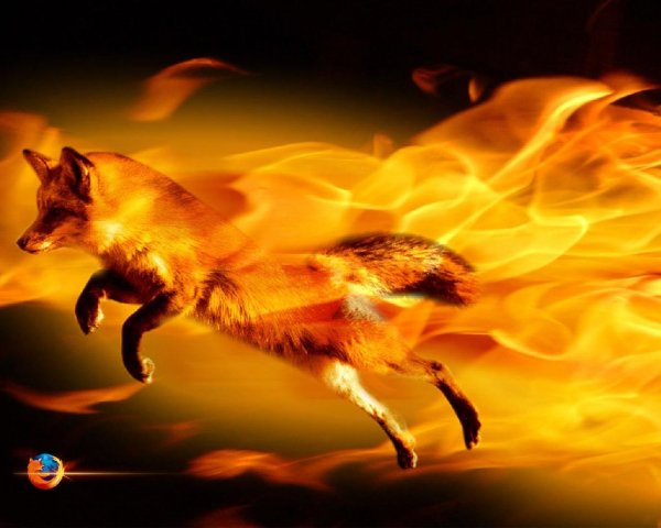 Mozilla Firefox 31. 0 Final