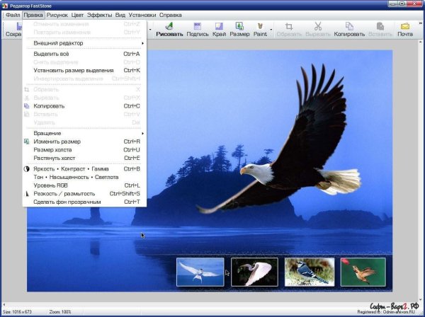 FastStone Capture6. 3