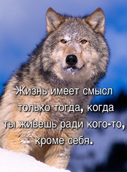 IMG 20200707 230355