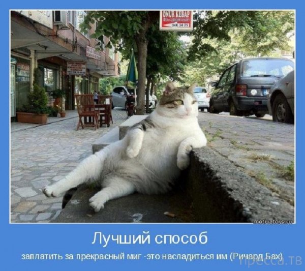 Прекрасный миг