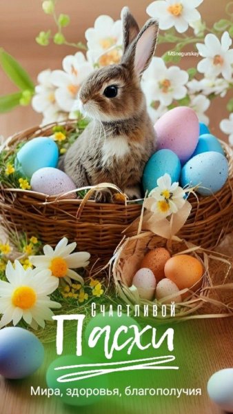 file_93186347