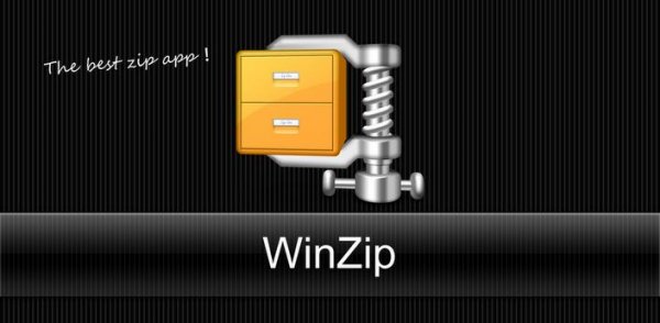 WinZip v. 1. 0. 1