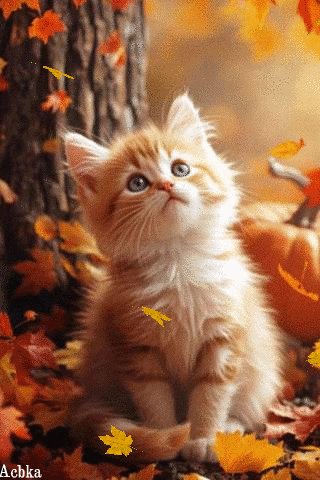 Файл #101096556