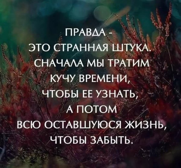 (Pravda)