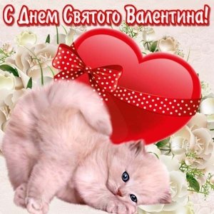 file_81213116