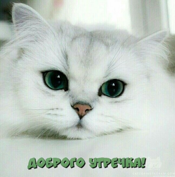 file_92238703