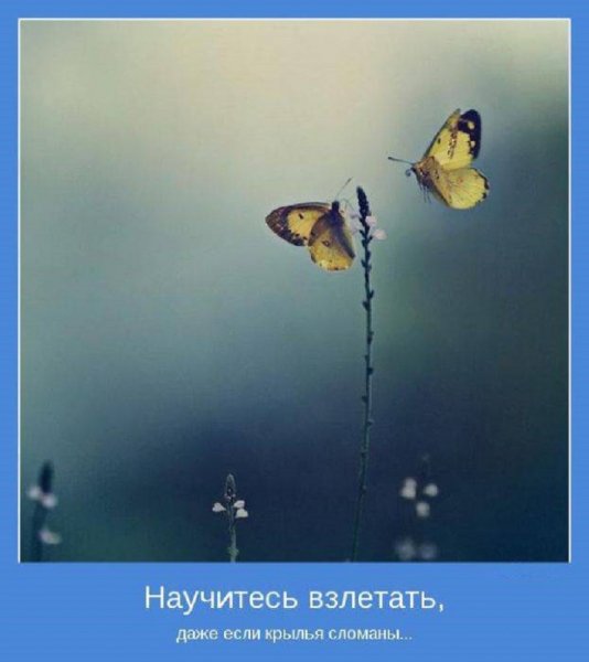 Научитесь взлетать