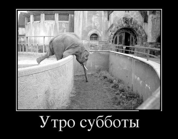 Bez slov