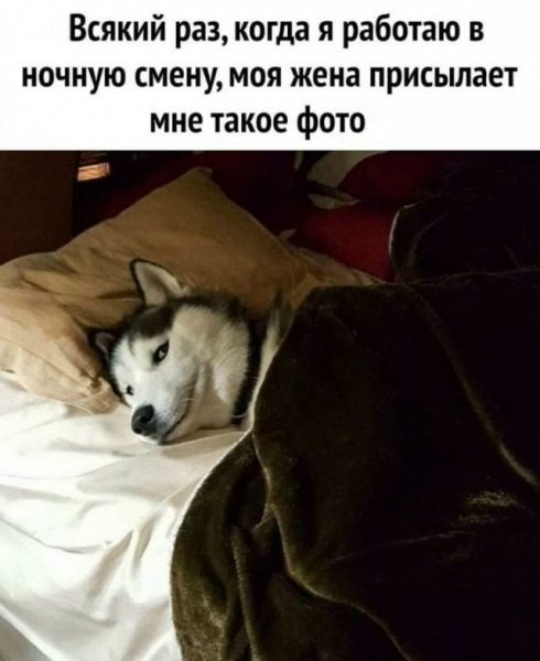 file_102947248