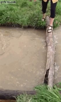 Hold-my-cosmo