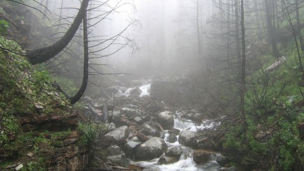 file_79295066