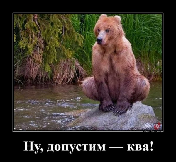 Ну, допустим КВА