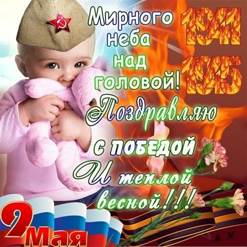 file_81317124
