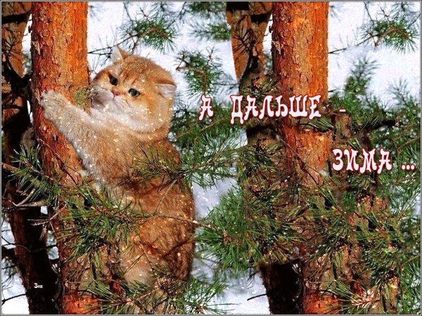 file_75608627