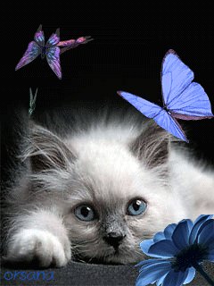 file_50737803