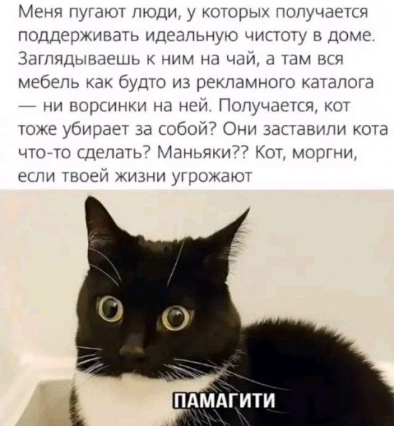 file_103634274