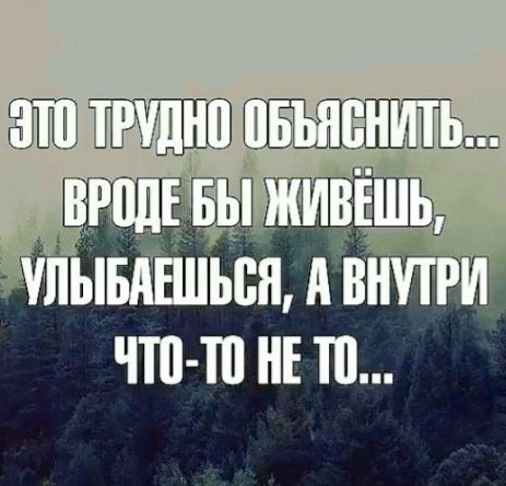 file_100653422