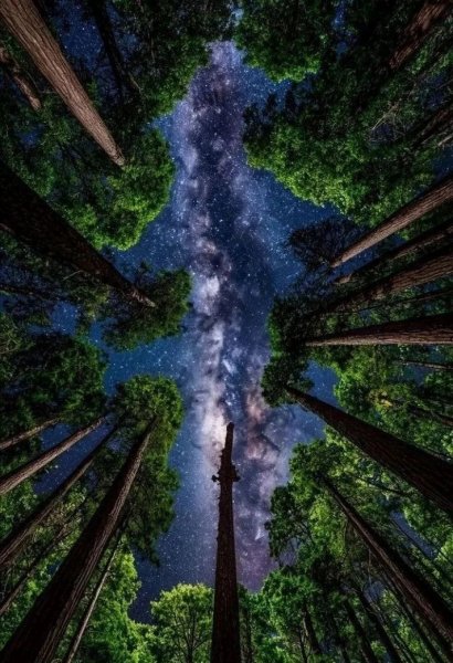 file_103589199