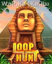 Loop Hunt