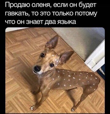 Saved Images 348670667 p 600 600 0