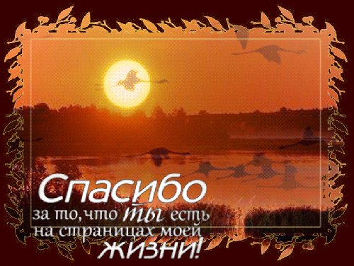 spasibo-za-to-chto-ty-est-na-stranicax-moej-zhizni-1