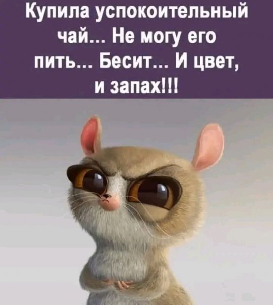 file_95592373
