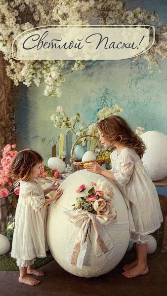 FB IMG 1714924781203