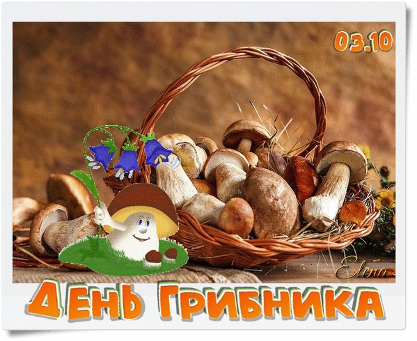 Анимированная открытка 3 октября день