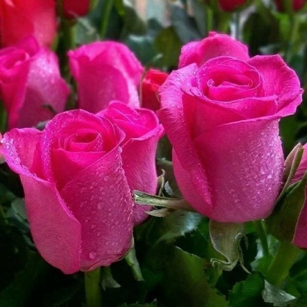 SSAZDhy-rbI
