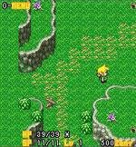 Zelda-Hyrule-Woods