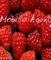 Raspberry splash Mobile Agent by Storm
