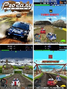 Pro-Rally Racing