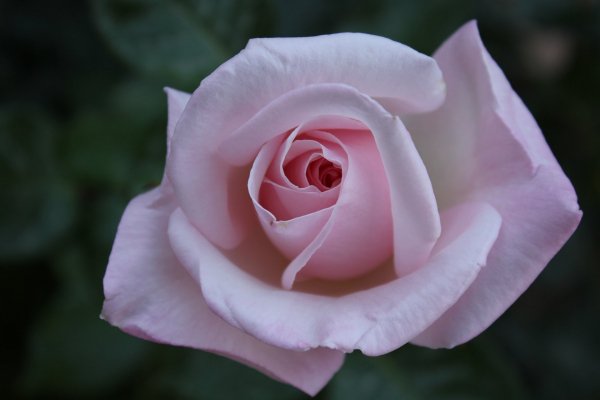 Image (14)
