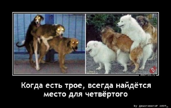 Да уж