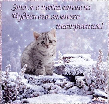 file_75497307