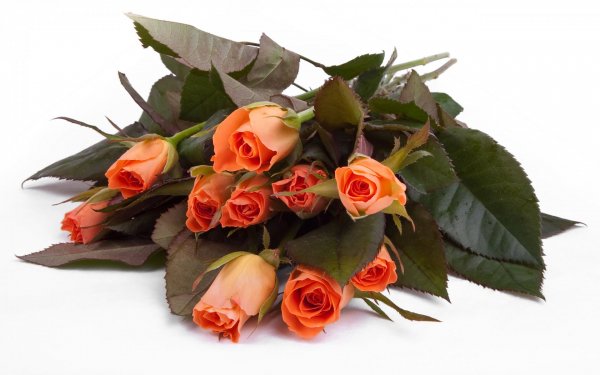 Image (21)