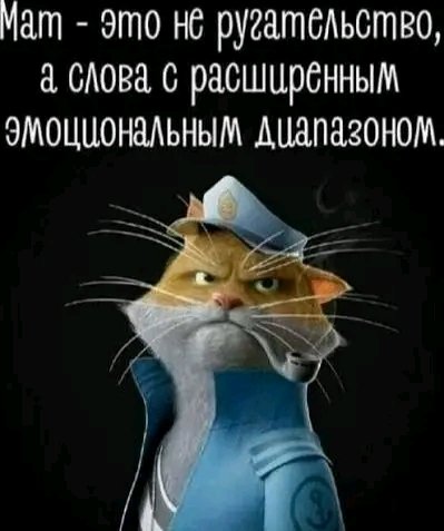 file_103630808