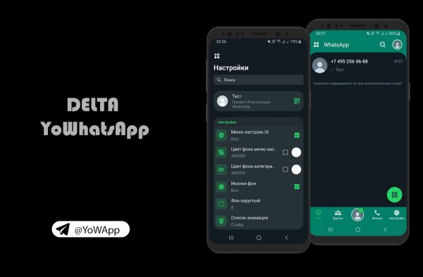 DELTA WhatsApp Версия мода: v5. 2. 1